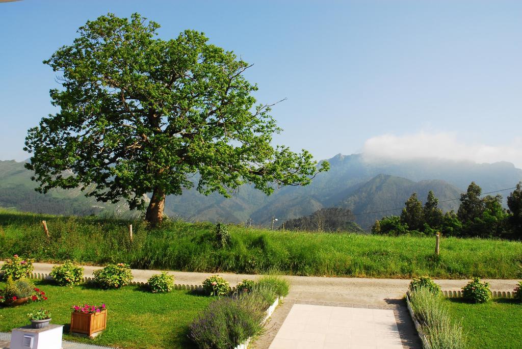 ריבאדסלה Hotel Mirador Del Sella מראה חיצוני תמונה